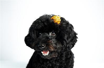 《第一后裔》新性感皮肤演示 这物理效果太棒了